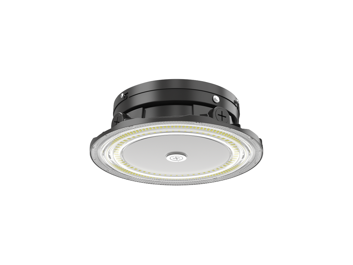 CL02-060 Canopy Light