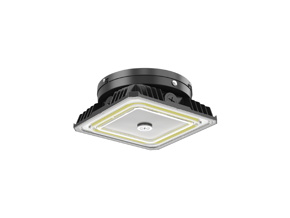 CL03-060 Canopy Light